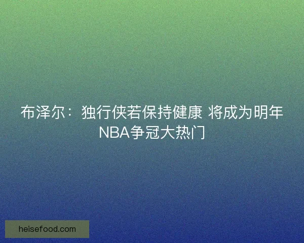 布泽尔:独行侠若保持健康 将成为明年NBA争冠大热门 布泽尔:独行侠若保持健康 将成为明年NBA争冠大热门